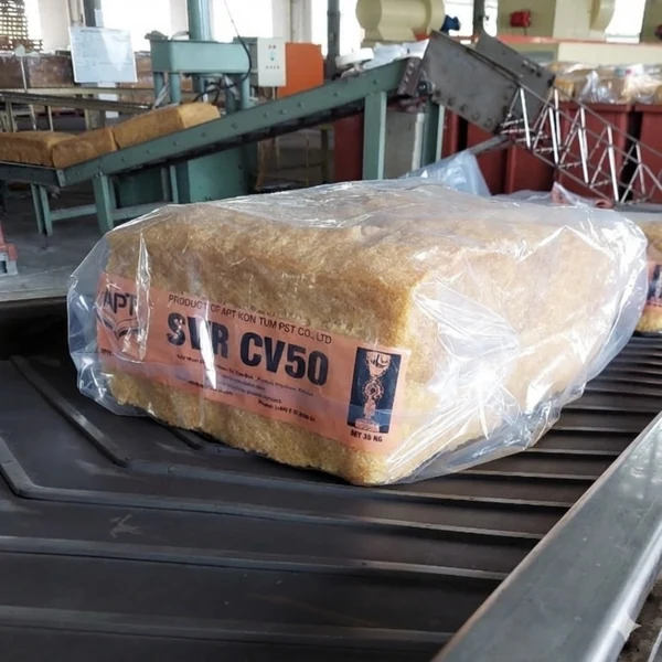 Bành mủ cao su SVR CV50 trong quá trình sản xuất và đóng gói tại nhà máy Cao Su An Phú Thịnh.