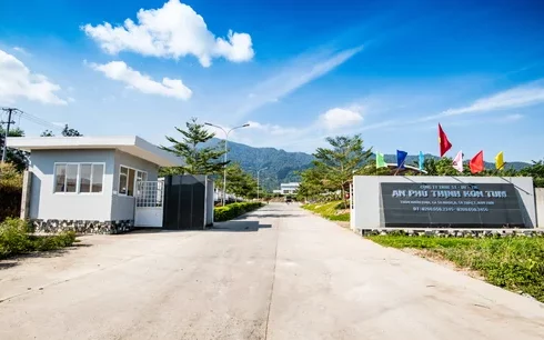 APT Rubber, Cao su An Phú Thịnh