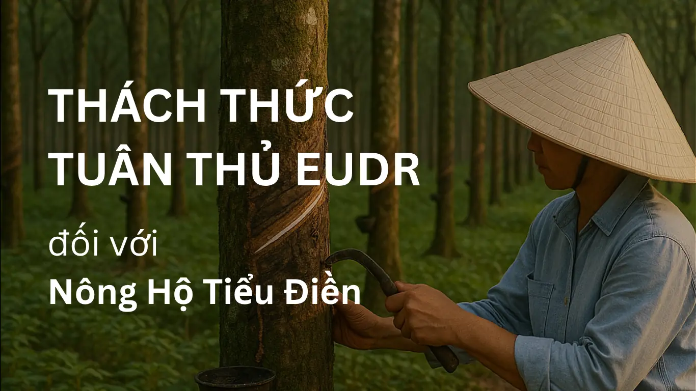 Nông Hộ Tiểu Điền EUDR