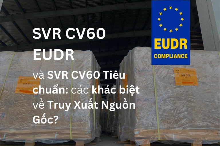 Thumbnail giới thiệu SVR CV60 EUDR và sự khác biệt truy xuất nguồn gốc so với SVR CV60 tiêu chuẩn.
