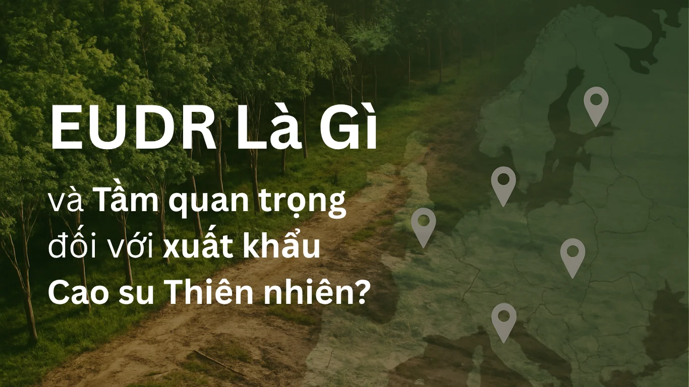 Quy định chống phá rừng EU