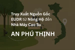 Cao su An Phú Thịnh và hành trình truy xuất nguồn gốc sản phẩm theo quy định EUDR