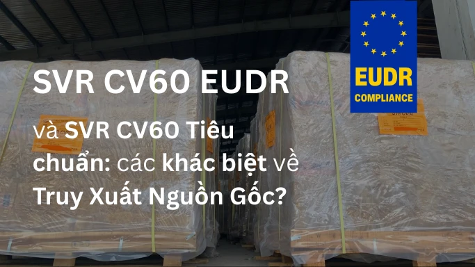 Hình ảnh pallet cao su SVR CV60 đạt chuẩn EUDR tại kho APT Rubber, thể hiện truy xuất nguồn gốc từng lô nguyên liệu.
